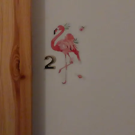 2 Flamingos